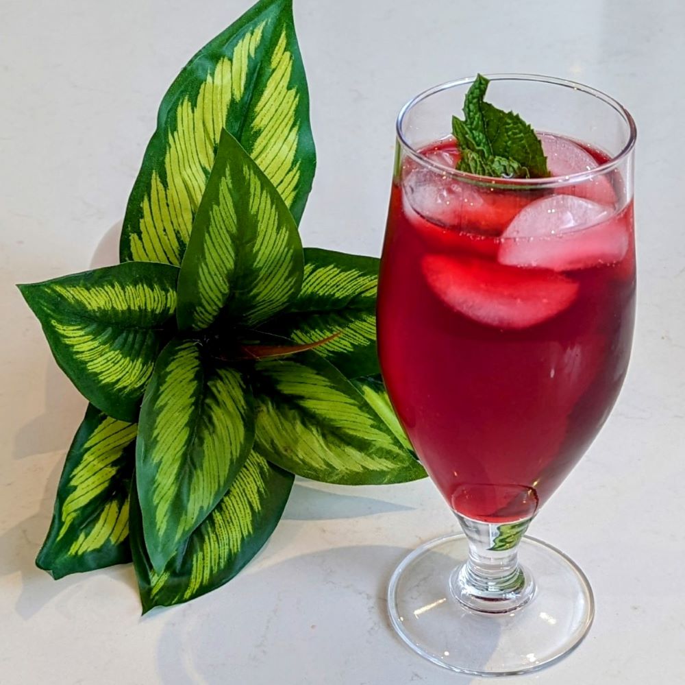 Hibiscus and Mint Iced Tea